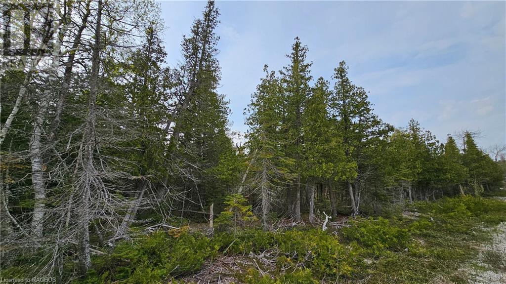 Lt 255 Pl 433 Pedwell Pt Drive, Northern Bruce Peninsula, Ontario  N0H 2R0 - Photo 9 - 40588470