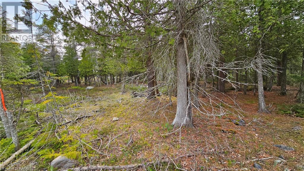 Lt 255 Pl 433 Pedwell Pt Drive, Northern Bruce Peninsula, Ontario  N0H 2R0 - Photo 7 - 40588470