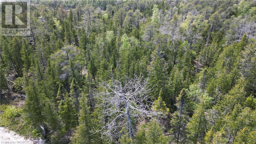 Lt 255 Pl 433 Pedwell Pt Drive, Northern Bruce Peninsula, Ontario  N0H 2R0 - Photo 16 - 40588470