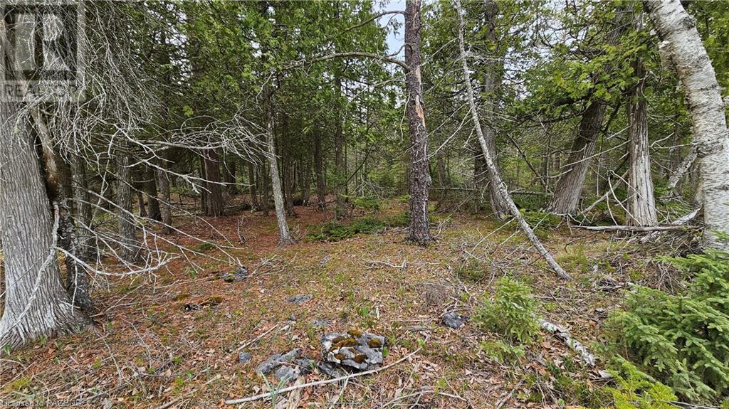 Lt 255 Pl 433 Pedwell Pt Drive, Northern Bruce Peninsula, Ontario  N0H 2R0 - Photo 6 - 40588470