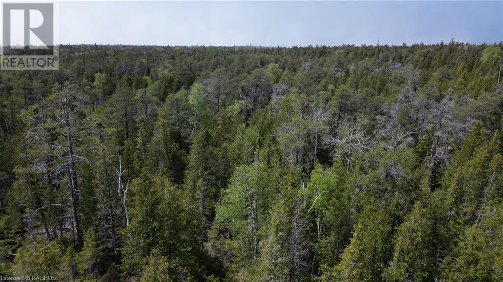 Lt 255 Pl 433 Pedwell Pt Drive, Northern Bruce Peninsula, Ontario  N0H 2R0 - Photo 19 - 40588470