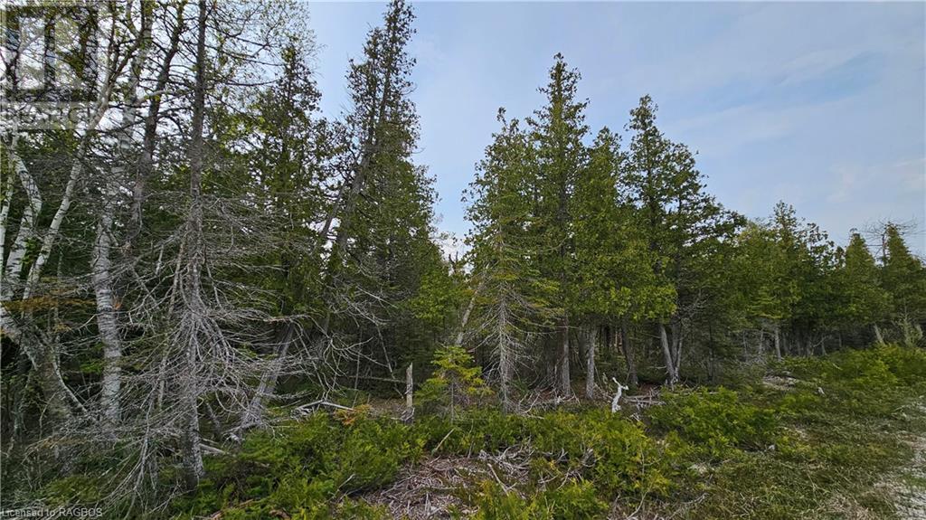 Lt 255 Pl 433 Pedwell Pt Drive, Northern Bruce Peninsula, Ontario  N0H 2R0 - Photo 8 - 40588470