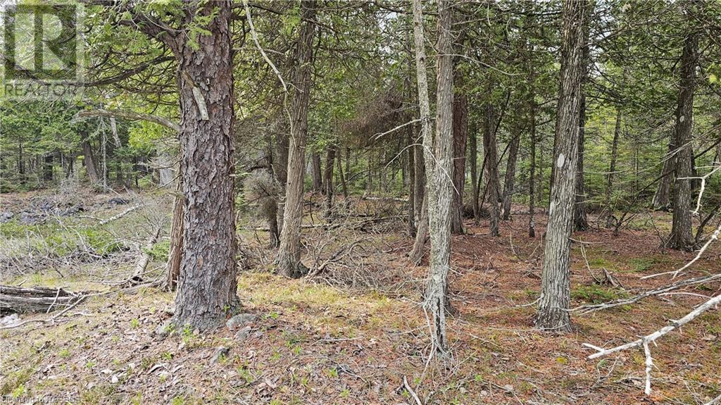 Lt 255 Pl 433 Pedwell Pt Drive, Northern Bruce Peninsula, Ontario  N0H 2R0 - Photo 1 - 40588470