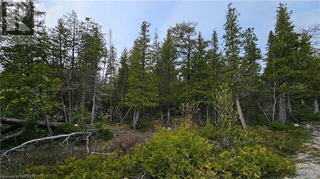 Lt 255 Pl 433 Pedwell Pt Drive, Northern Bruce Peninsula, Ontario  N0H 2R0 - Photo 12 - 40588470
