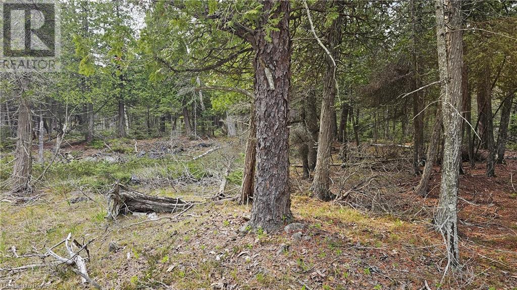 Lt 255 Pl 433 Pedwell Pt Drive, Northern Bruce Peninsula, Ontario  N0H 2R0 - Photo 2 - 40588470