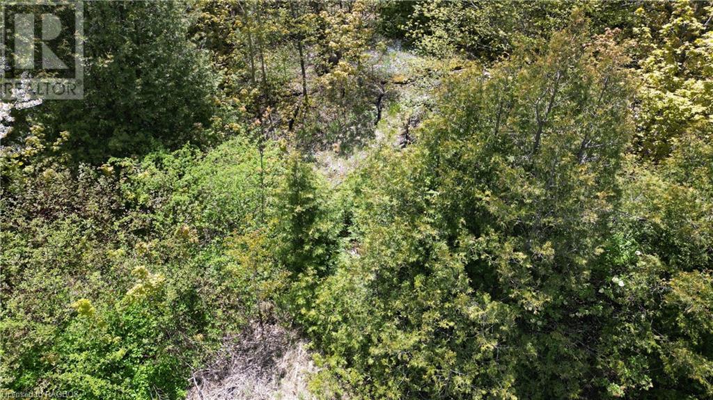 Pt Lt 30 Con 5 Ebr Isthmus Bay Road, Lion's Head, Ontario  N0H 1W0 - Photo 16 - 40588520