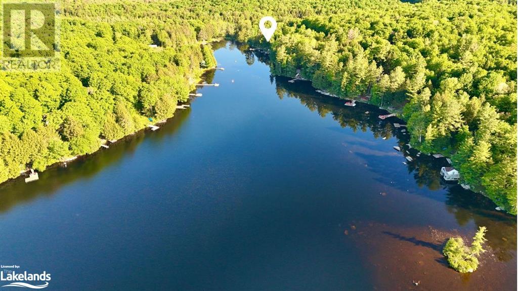 1019 Lakeshore Drive N, Bracebridge, Ontario  P1L 1X3 - Photo 45 - 40594523