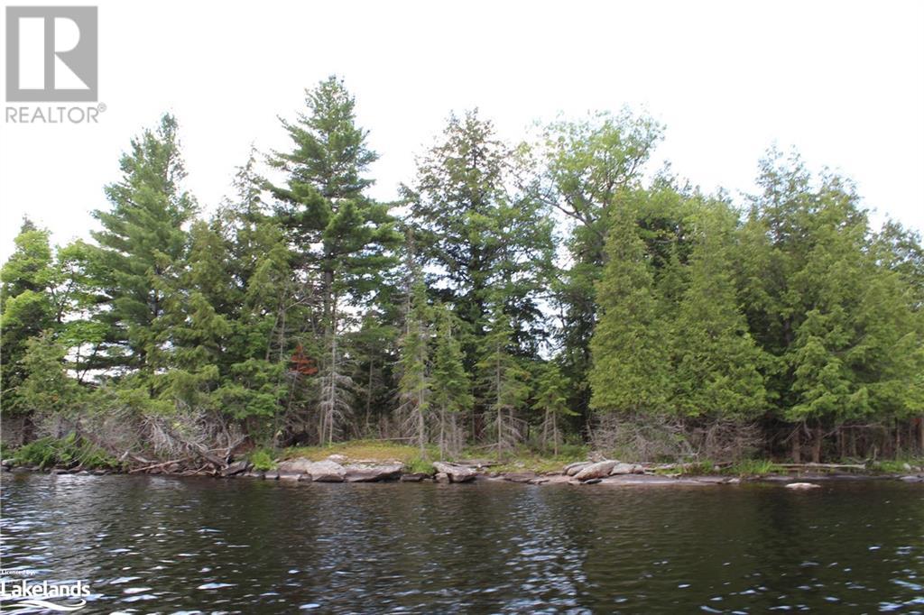 0 Mill Lake, Mcdougall, Ontario  P2A 2W9 - Photo 12 - 40597155