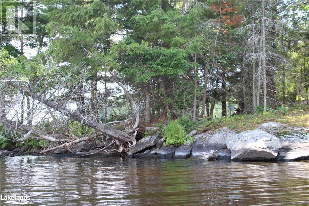 0 Mill Lake, Mcdougall, Ontario  P2A 2W9 - Photo 41 - 40597155
