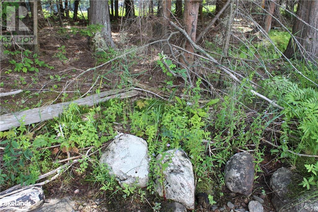 0 Mill Lake, Mcdougall, Ontario  P2A 2W9 - Photo 37 - 40597155