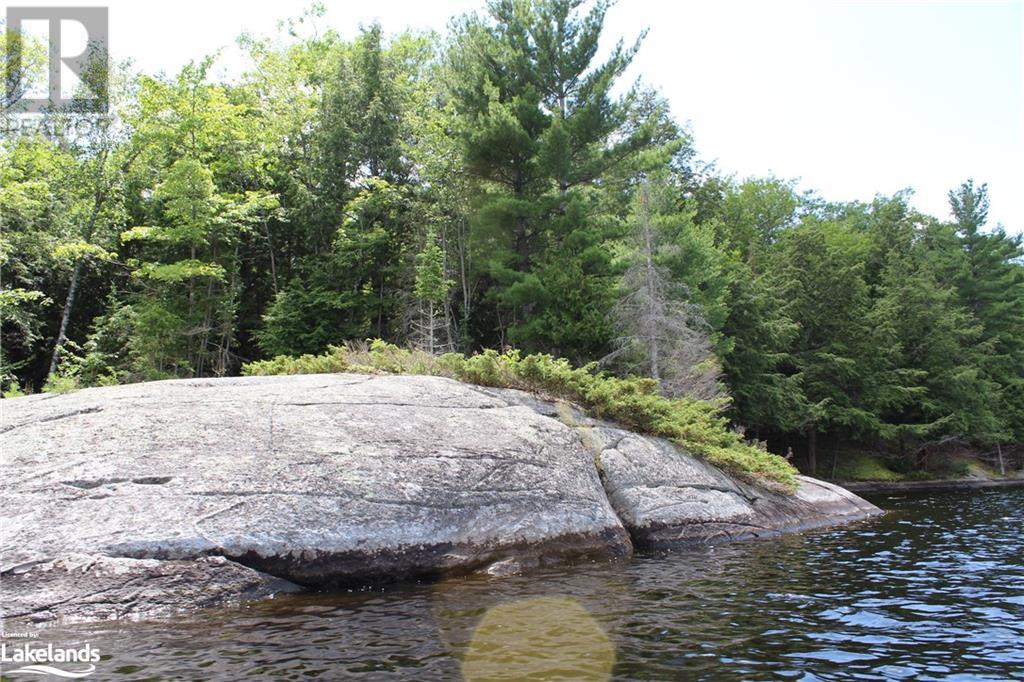 0 Mill Lake, Mcdougall, Ontario  P2A 2W9 - Photo 16 - 40597155