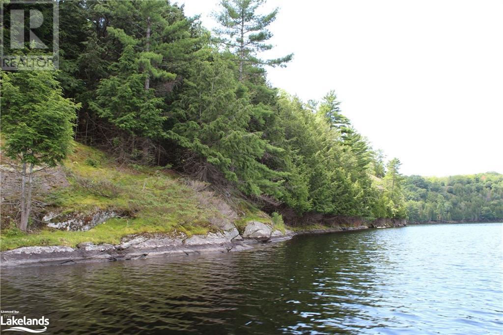 0 Mill Lake, Mcdougall, Ontario  P2A 2W9 - Photo 21 - 40597155