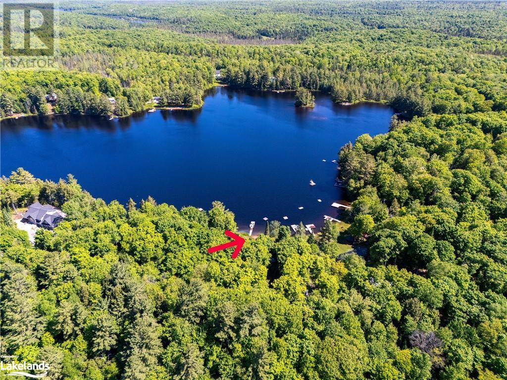 247 Mainhood Road, Utterson, Ontario  P0B 1M0 - Photo 5 - 40595872