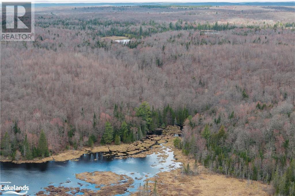 0 Harburn Road, Haliburton, Ontario  K0M 1S0 - Photo 6 - 40586450