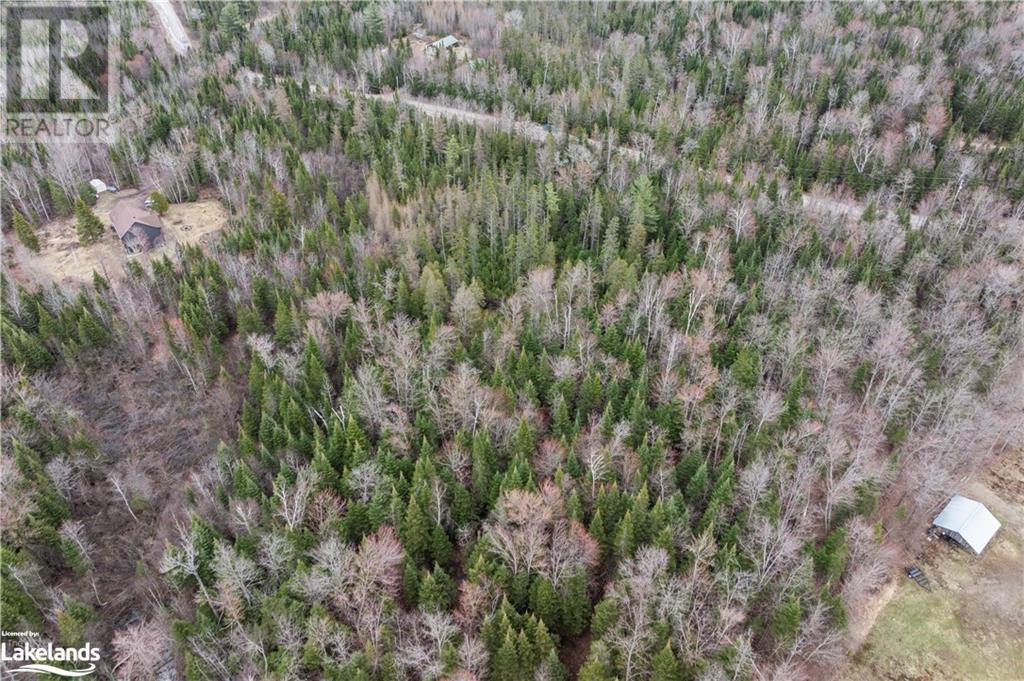 0 Harburn Road, Haliburton, Ontario  K0M 1S0 - Photo 7 - 40586450