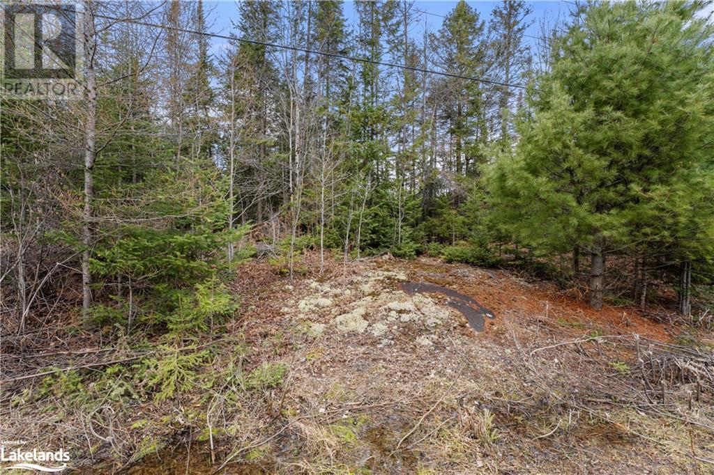 0 Harburn Road, Haliburton, Ontario  K0M 1S0 - Photo 11 - 40586450