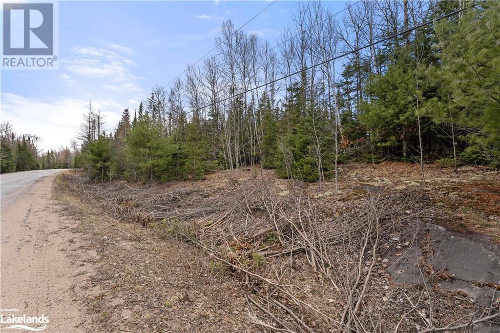 0 Harburn Road, Haliburton, Ontario  K0M 1S0 - Photo 13 - 40586450