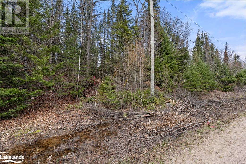 0 Harburn Road, Haliburton, Ontario  K0M 1S0 - Photo 9 - 40586450