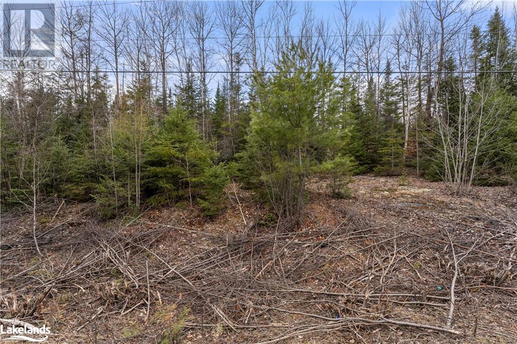 0 Harburn Road, Haliburton, Ontario  K0M 1S0 - Photo 12 - 40586450