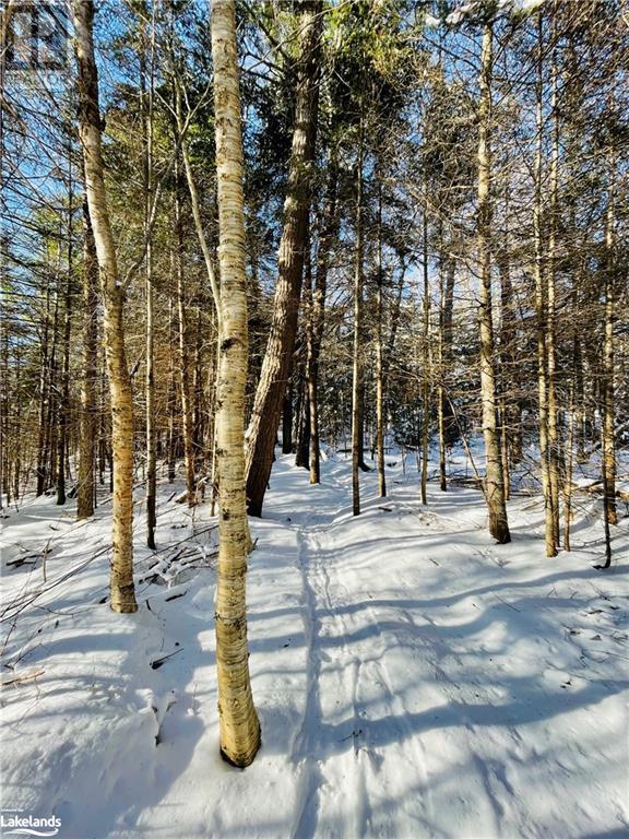 0 Harburn Road, Haliburton, Ontario  K0M 1S0 - Photo 18 - 40586450