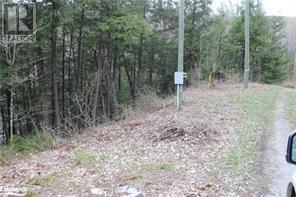 0 MINERAL Lane, irondale, Ontario