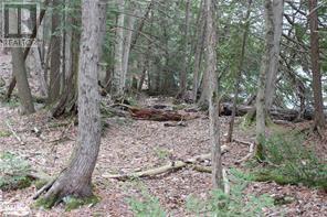 0 Mineral Lane, Irondale, Ontario  K0M 1X0 - Photo 3 - 40596687