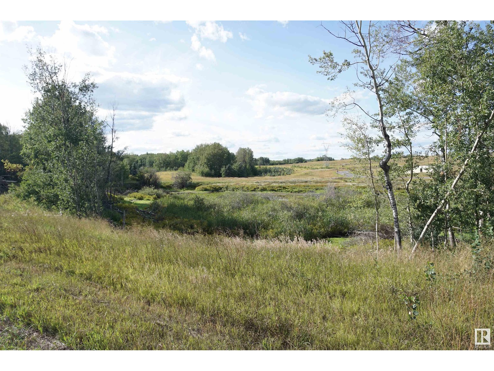 33 53214 Rge Rd 13, Rural Parkland County, Alberta  T7Y 0C1 - Photo 17 - E4390201