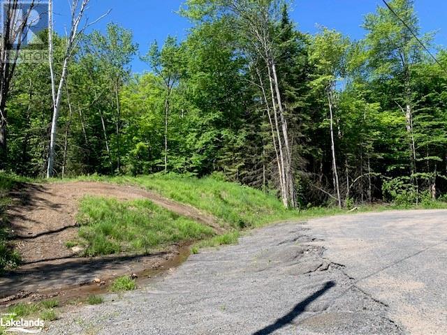 59 Summer Leigh Trail, Huntsville, Ontario  P0B 1M0 - Photo 10 - 40598415