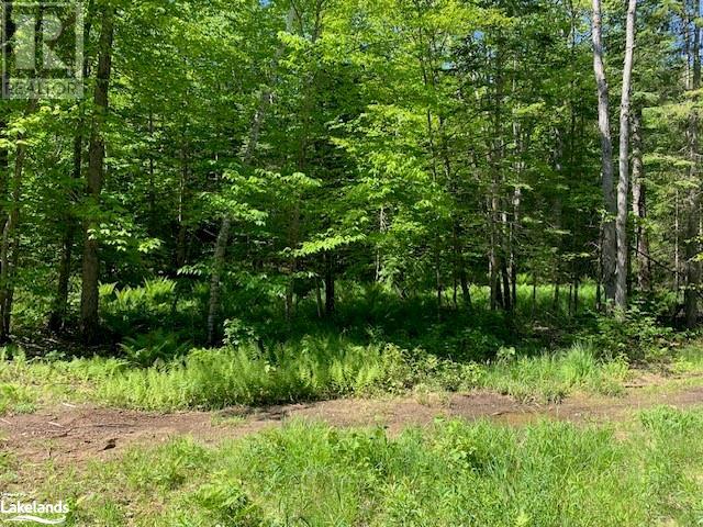 59 Summer Leigh Trail, Huntsville, Ontario  P0B 1M0 - Photo 13 - 40598415
