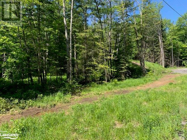 59 Summer Leigh Trail, Huntsville, Ontario  P0B 1M0 - Photo 14 - 40598415