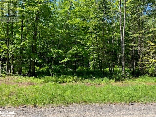 59 Summer Leigh Trail, Huntsville, Ontario  P0B 1M0 - Photo 2 - 40598415