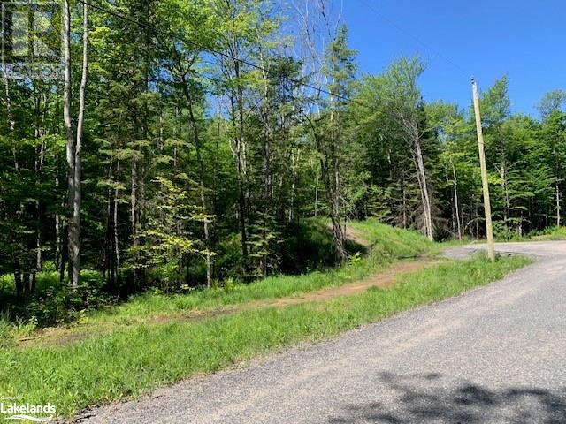 59 Summer Leigh Trail, Huntsville, Ontario  P0B 1M0 - Photo 3 - 40598415