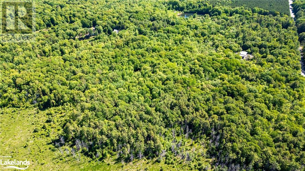 0 Southwood Road, Gravenhurst, Ontario  P0E 1G0 - Photo 13 - 40597546
