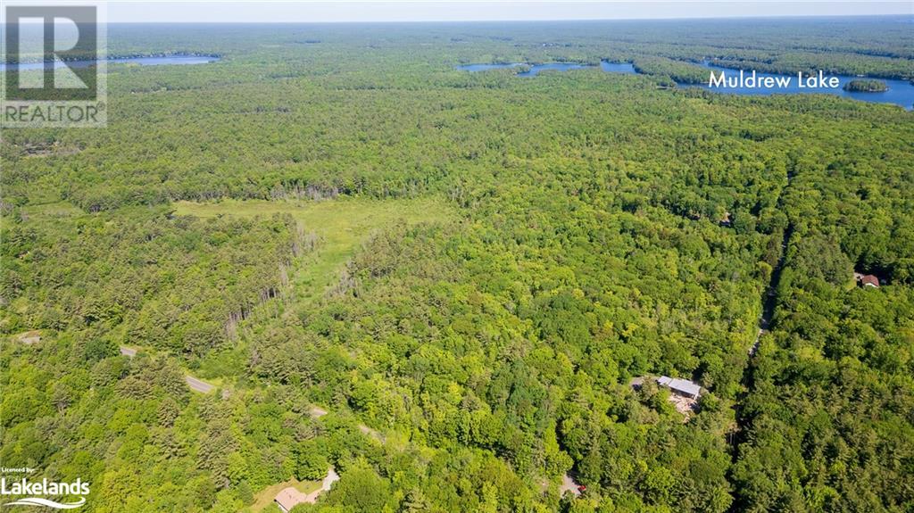 0 Southwood Road, Gravenhurst, Ontario  P0E 1G0 - Photo 5 - 40597546