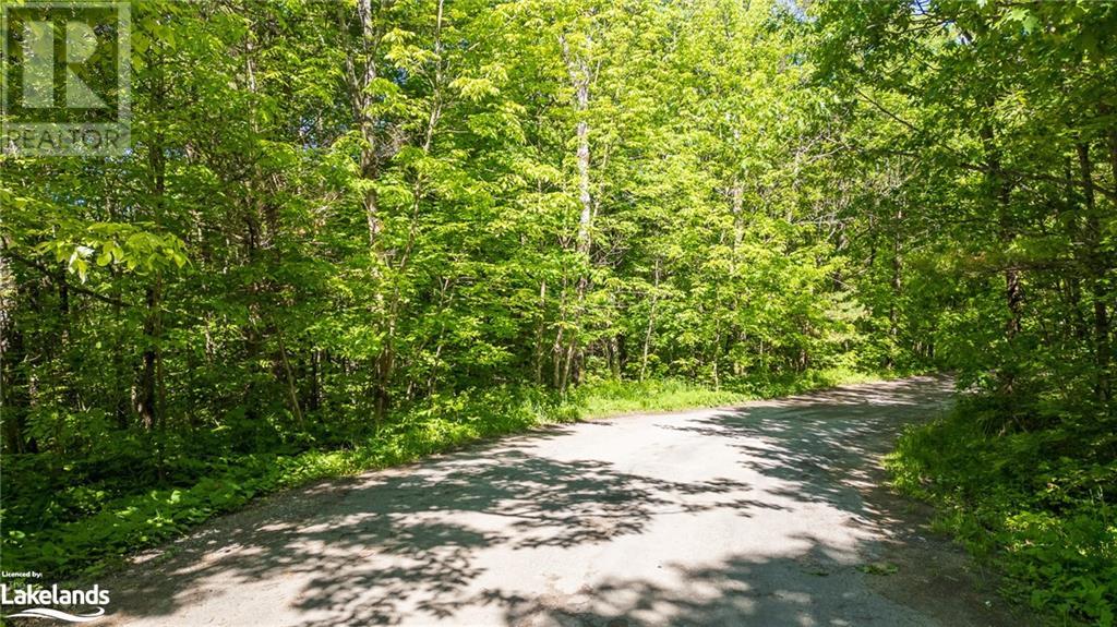 0 Southwood Road, Gravenhurst, Ontario  P0E 1G0 - Photo 6 - 40597546