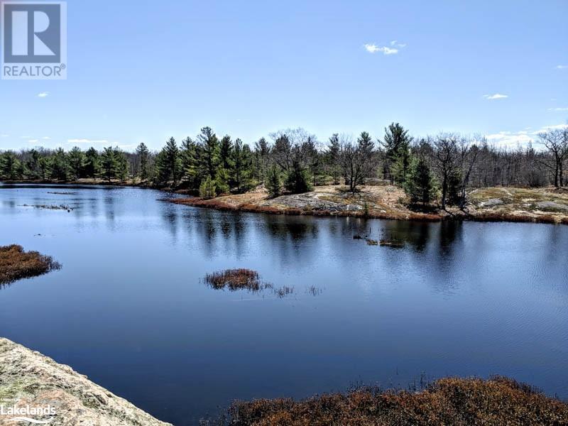 Lot 4 Part 1 Concession 8, Mactier, Ontario  P0C 1H0 - Photo 12 - 40581266
