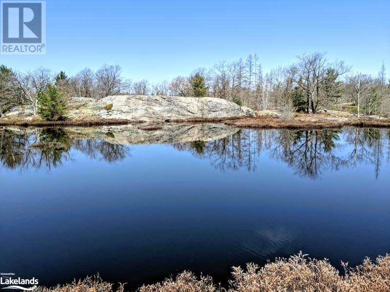 Lot 4 Part 1 Concession 8, Mactier, Ontario  P0C 1H0 - Photo 13 - 40581266