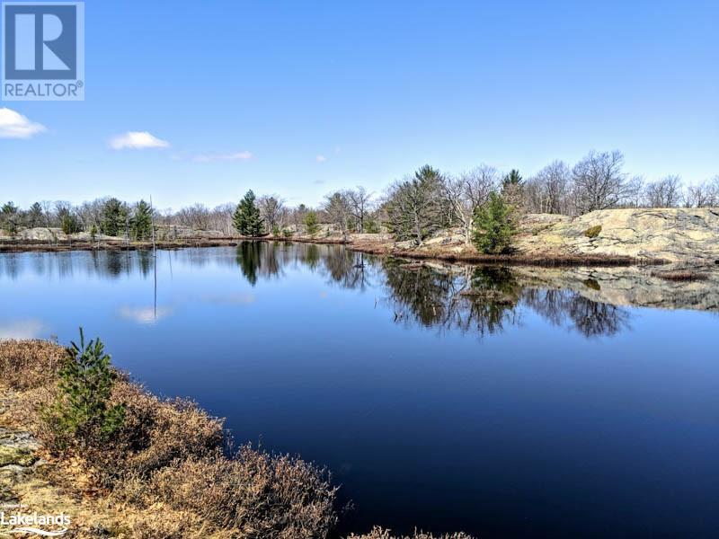 Lot 4 Part 1 Concession 8, Mactier, Ontario  P0C 1H0 - Photo 14 - 40581266