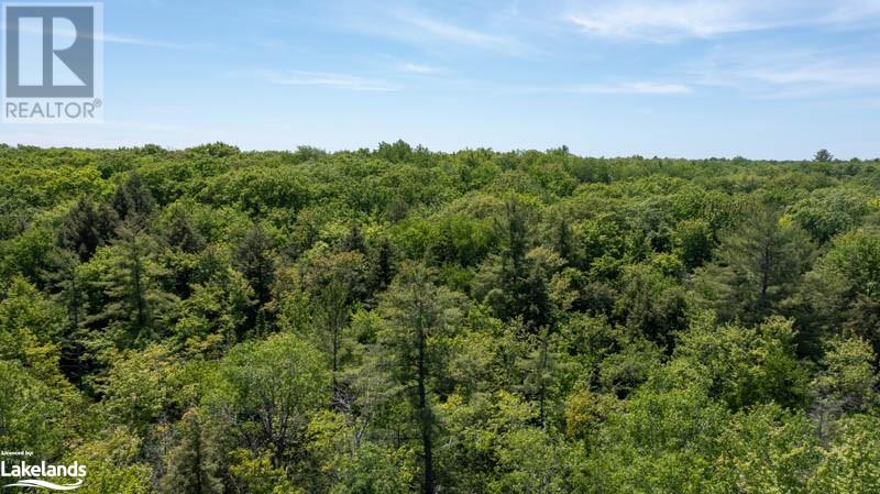 Lot 4 Part 1 Concession 8, Mactier, Ontario  P0C 1H0 - Photo 15 - 40581266