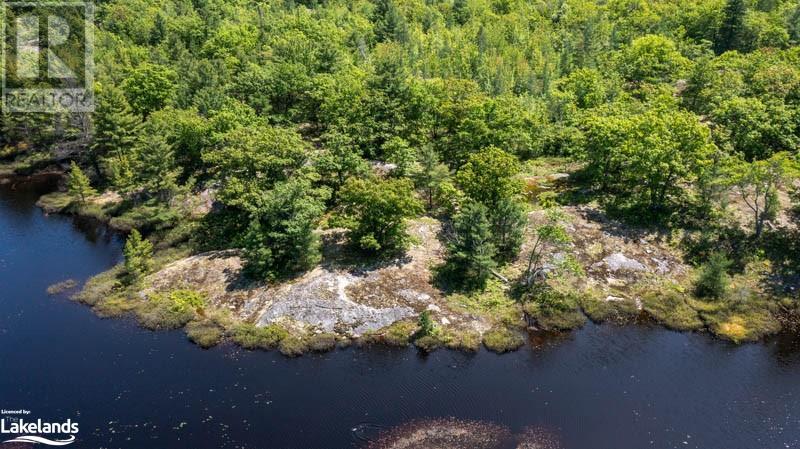 Lot 4 Part 1 Concession 8, Mactier, Ontario  P0C 1H0 - Photo 5 - 40581266