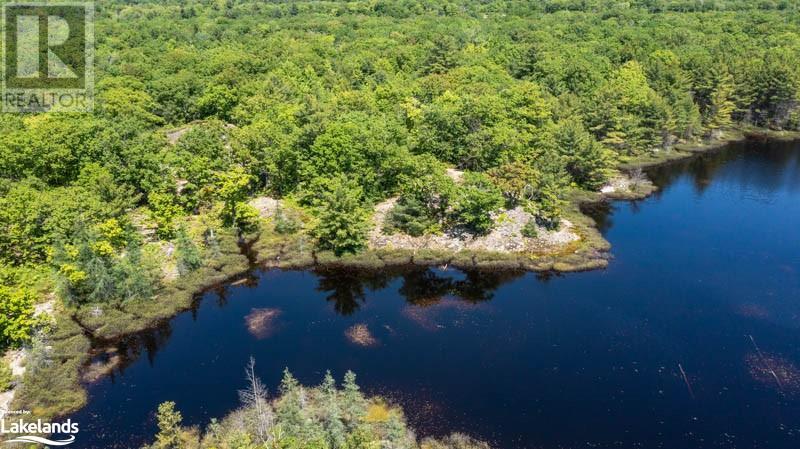 Lot 4 Part 1 Concession 8, Mactier, Ontario  P0C 1H0 - Photo 6 - 40581266