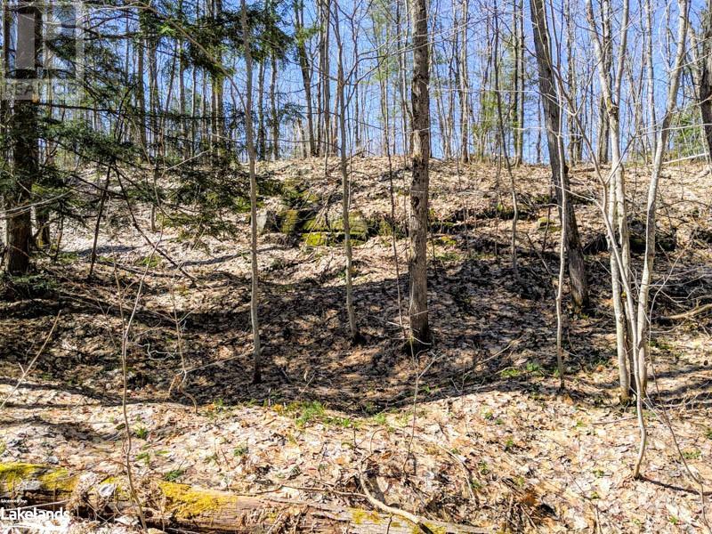 Lot 4 Part 1 Concession 8, Mactier, Ontario  P0C 1H0 - Photo 9 - 40581266