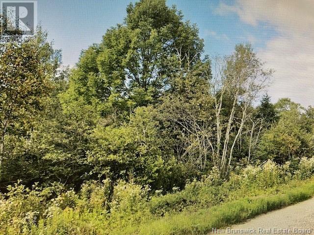 Property at 383 & 399 Damascus Road image 1