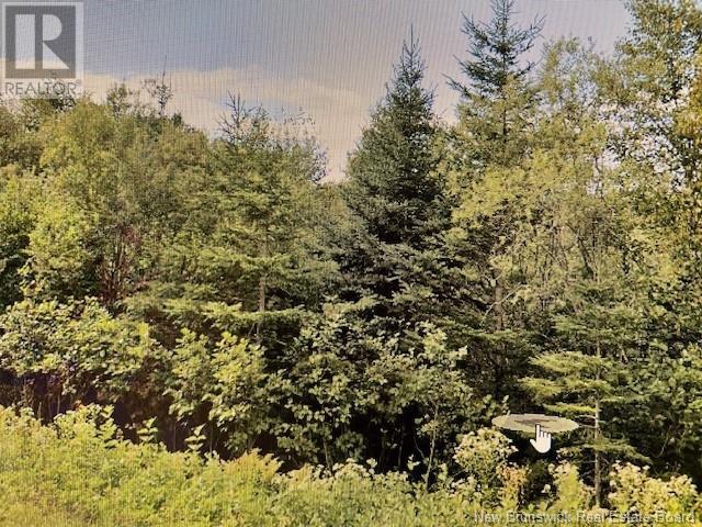 Property at 383 & 399 Damascus Road image 2