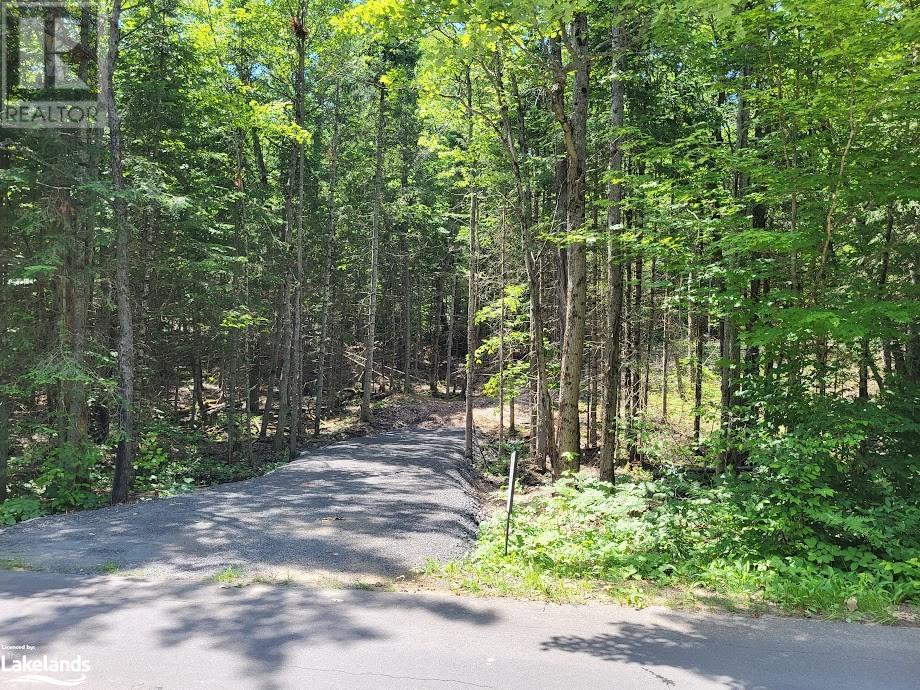 Lot 5 Fairy Falls Road, Baysville, Ontario  P0B 1A0 - Photo 2 - 40598399