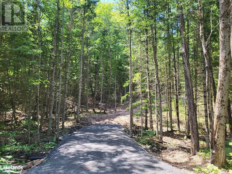 Lot 5 Fairy Falls Road, Baysville, Ontario  P0B 1A0 - Photo 3 - 40598399