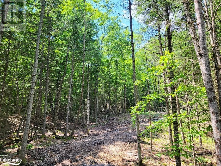 Lot 5 Fairy Falls Road, Baysville, Ontario  P0B 1A0 - Photo 4 - 40598399