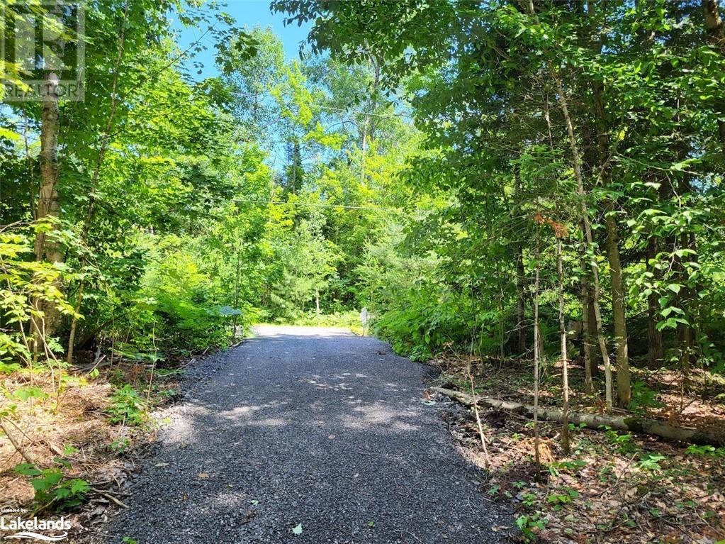 Lot 4 Fairy Falls Road, Baysville, Ontario  P0B 1A0 - Photo 3 - 40598332