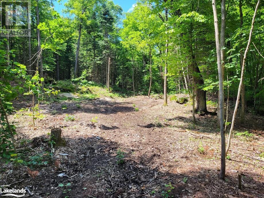 Lot 4 Fairy Falls Road, Baysville, Ontario  P0B 1A0 - Photo 4 - 40598332
