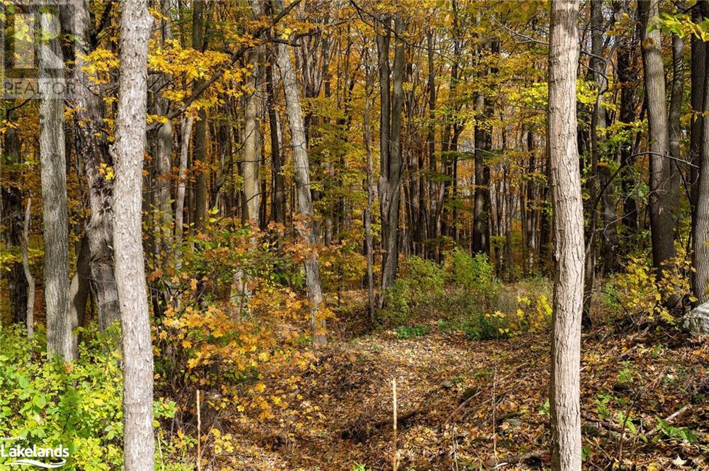 587317 9th Side Road, The Blue Mountains, Ontario  N0H 1J0 - Photo 5 - 40589012